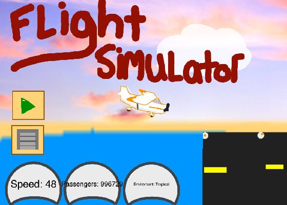 Flight Simulator (pls like) 1