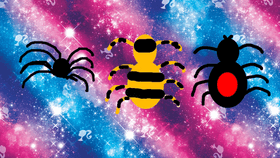 Spiders!
