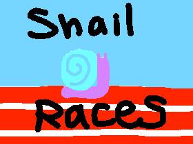 snail races 1