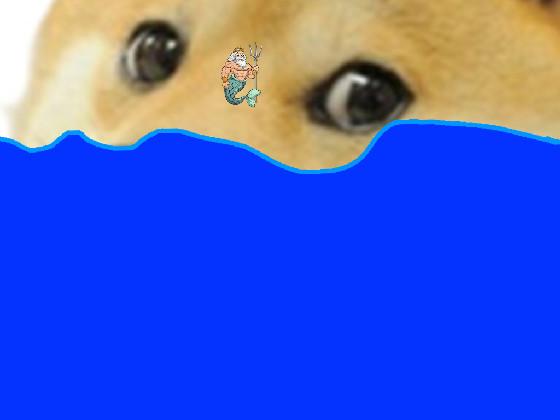swim in doges spit 1