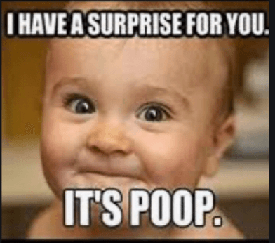 funny meme slide show
