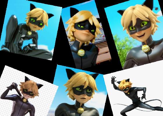 Cat Noir 1 1