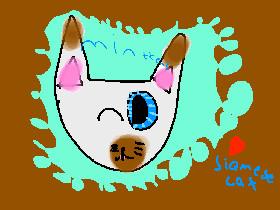 CORRENA ‘S project