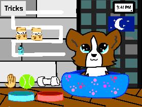 My Pet puppy (simulator) 1 1