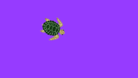 Turtle Dance Party