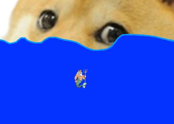 swim in doges spit 1