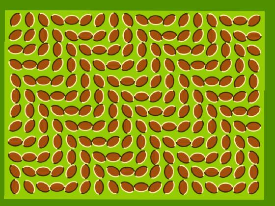 Beaned Optical Illusion 1