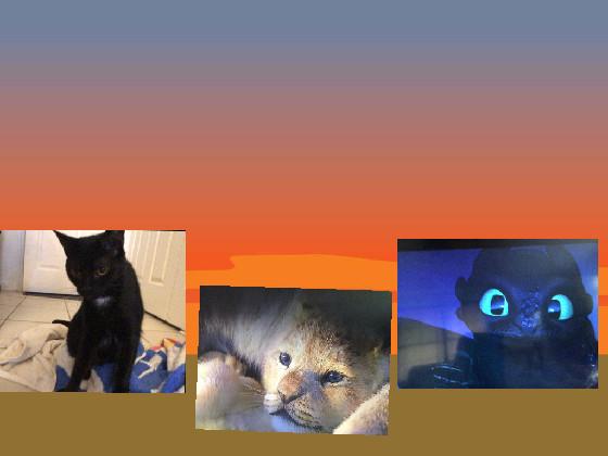 Kira &amp; Loki &amp; toothless