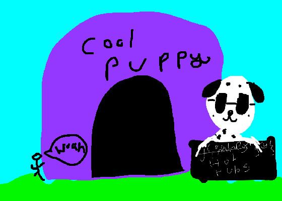 cool puppy