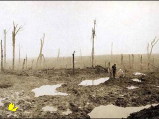 ww1