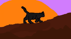 Sunset Cat
