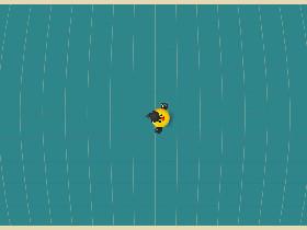 Bird Mayhem 1