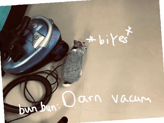 bun bun meme