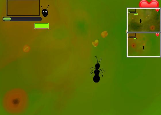 ANTZ 3.3 Updated