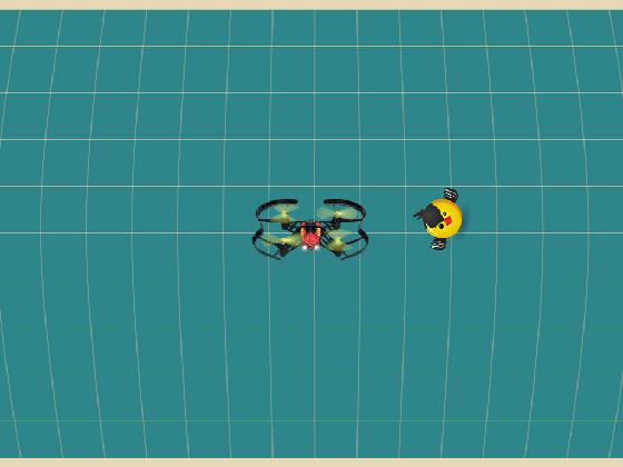 Bird Mayhem 1