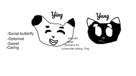 Ying and Yang
