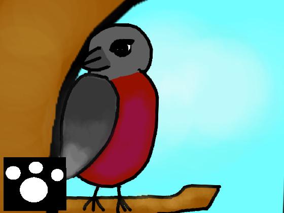 Dalily animation Pt 1. ???
