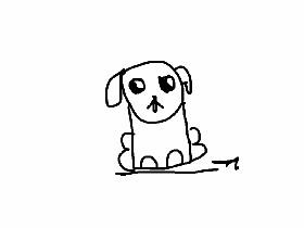 dog avater