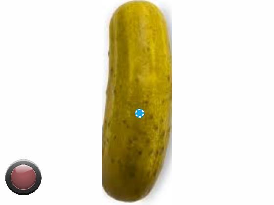 Pickle drawing