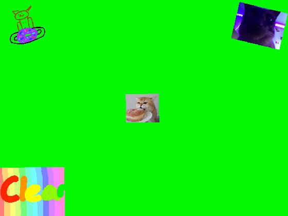 Cat and donut spin draw