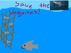 Save the Vaquitas!