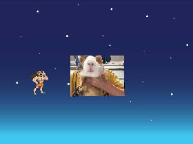 say hi to the guinea pig!!!!!!