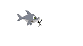shark attack