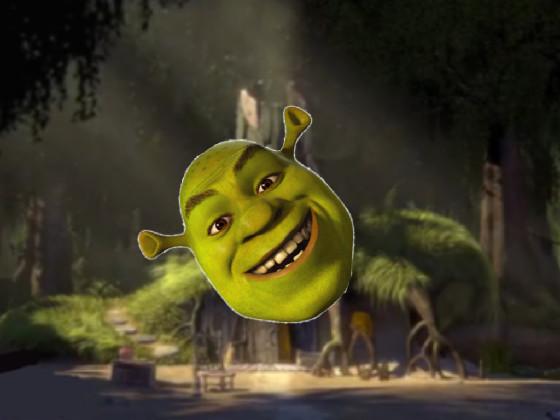 Shrek Spinner 1