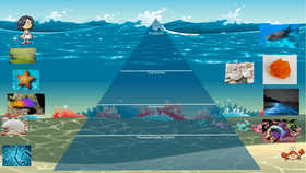 Ocean Pyramind