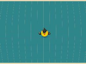 Bird travel crazy - copy