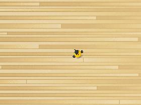 Bird twirl