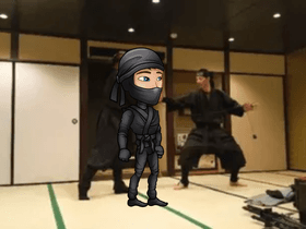 Ninja dojo