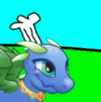 kite’s Cooking Class