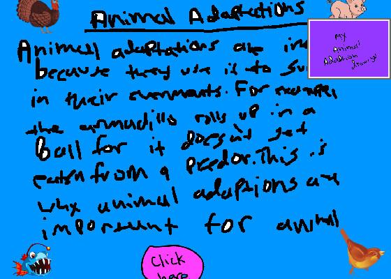 Animal Adaptions