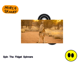 virtual Fidget Spinners