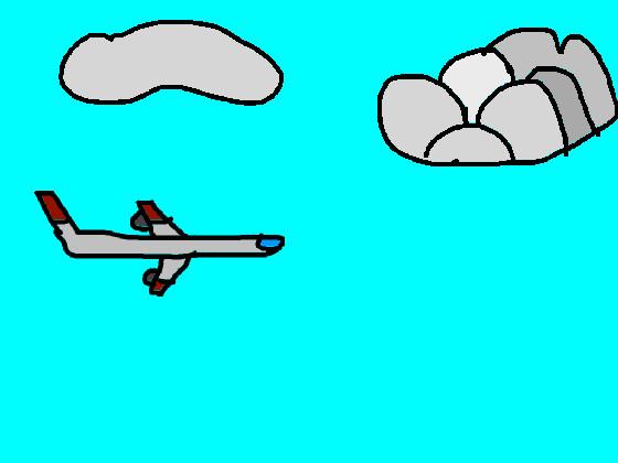 airplane flight