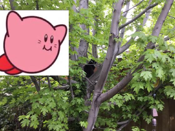 fling Kirby 1