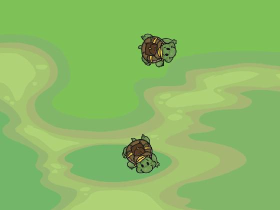Turtle colour!🐢
