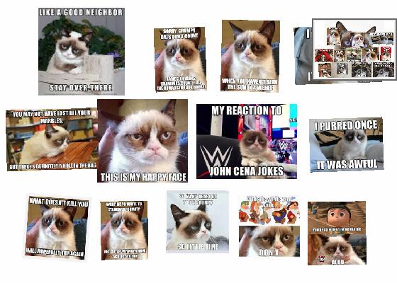 Grumpy cat memes