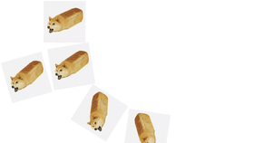 doge bread