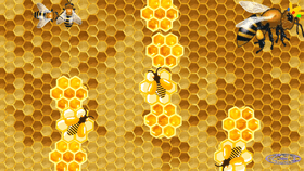 Bee Maze Level (OFFICIAL)