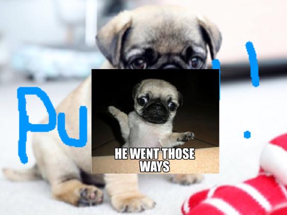 pug clicker bounce 1