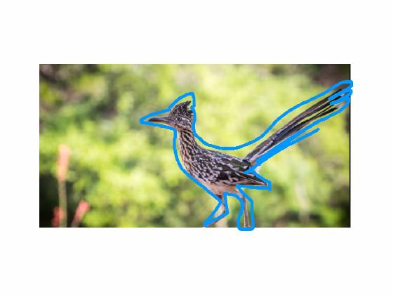 check camra roll , haha