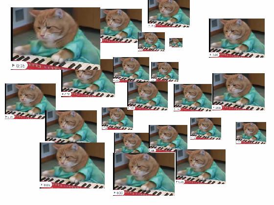 fast piano cat brrrrrrr