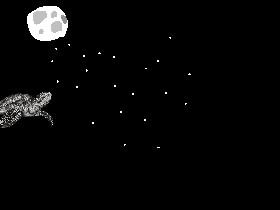 space turtle