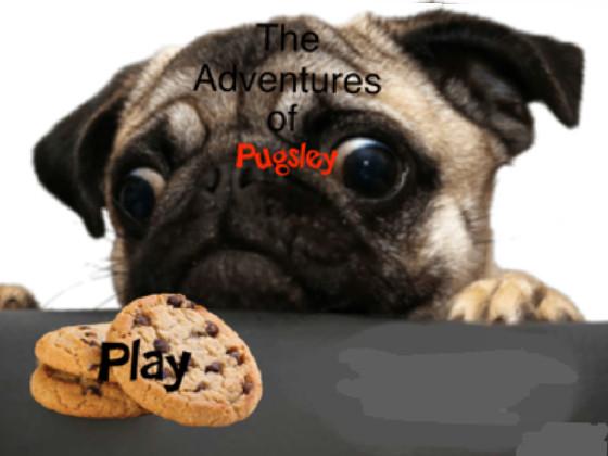 Plugsley school day 1!