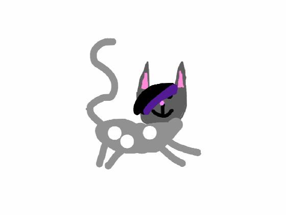 if i where a cat