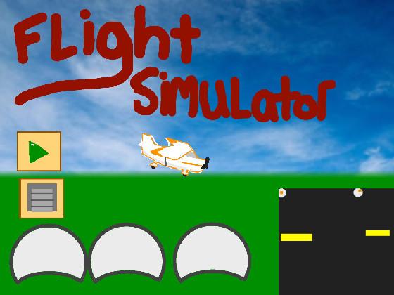 Flight Simulator  1 1