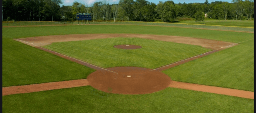 Baseball Card Clicker 1