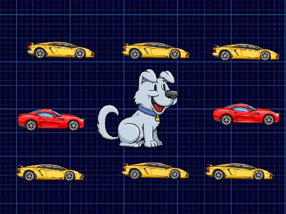 Cars and dog